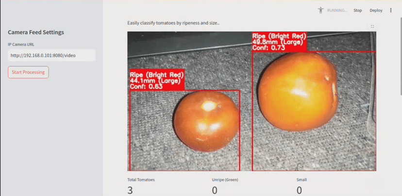 Cherry Tomato Sorting System